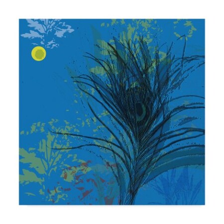 Trademark Fine Art Anne Cote 'Nuit Calme' Canvas Art, 14x14 ALI38062-C1414GG